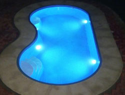 Bean Shaped Pool Manufacturer in Faridabad
