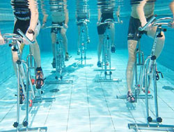 Wetfit Aqua Gym Manufacturer in Faridabad